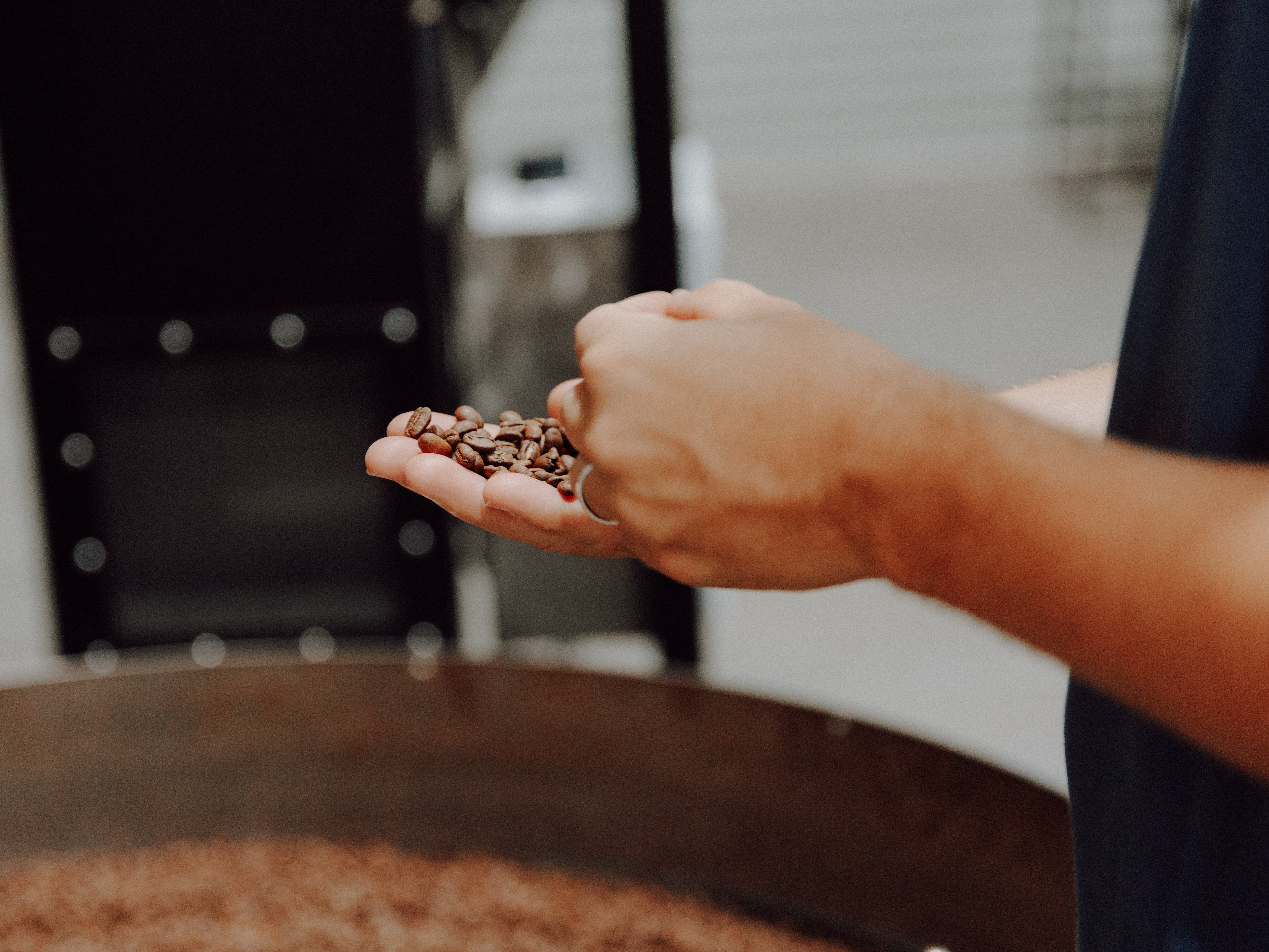 Head Roaster checking the freshly roasted coffee