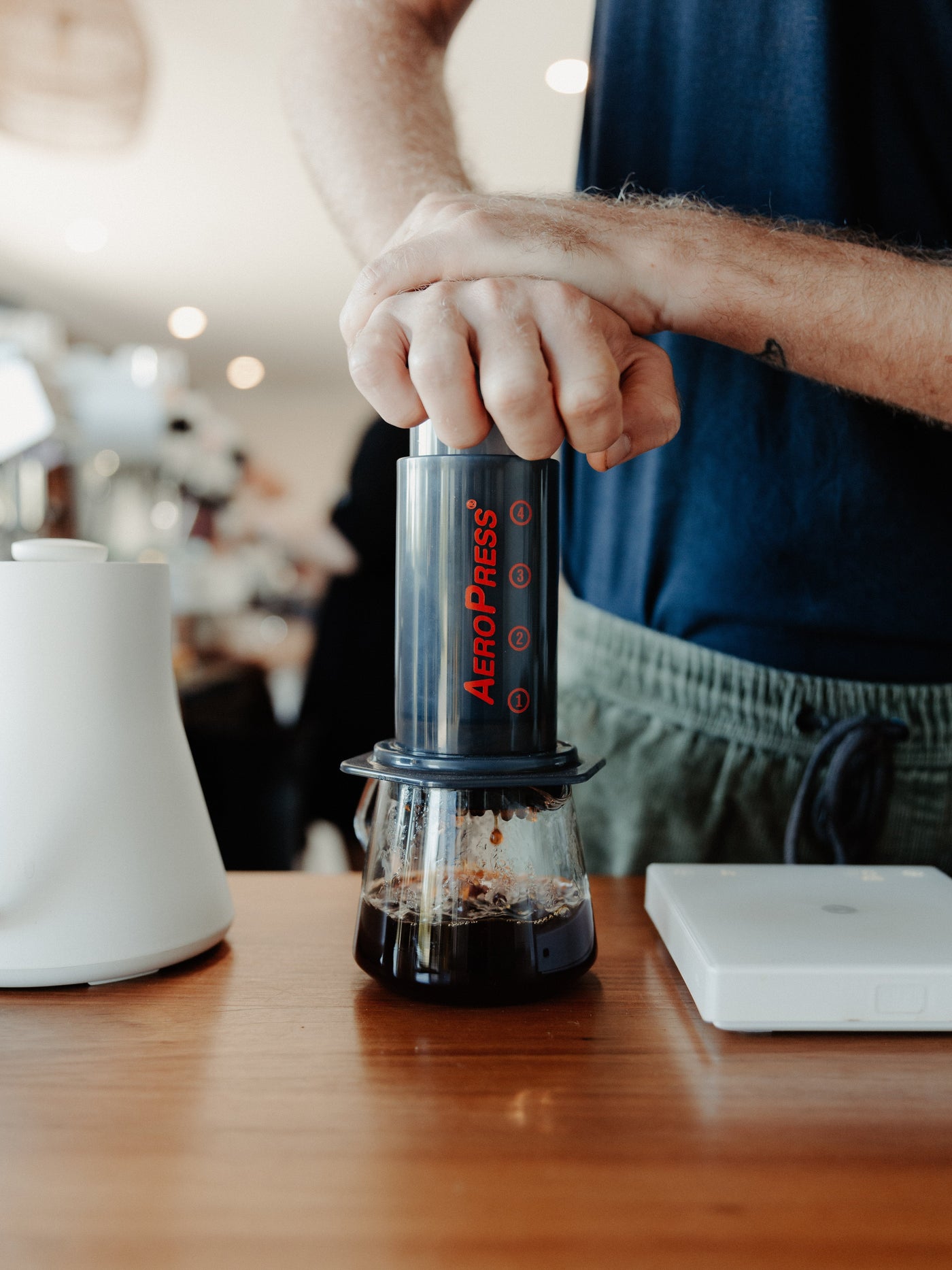Aeropress Brew Guide