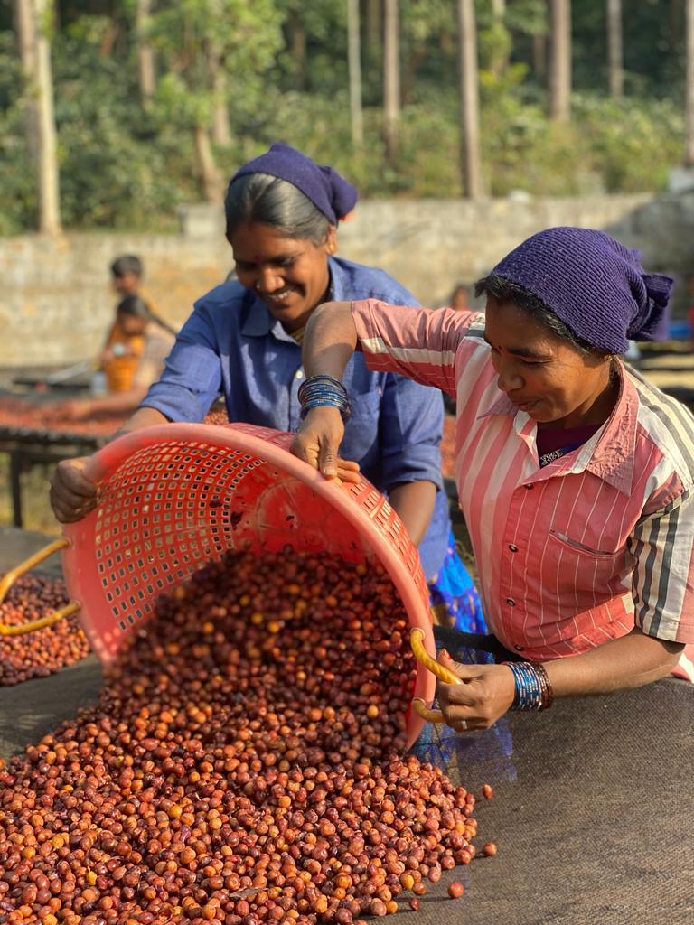 INDIA - RIVERDALE ESTATE (CARBONIC MACERATION)