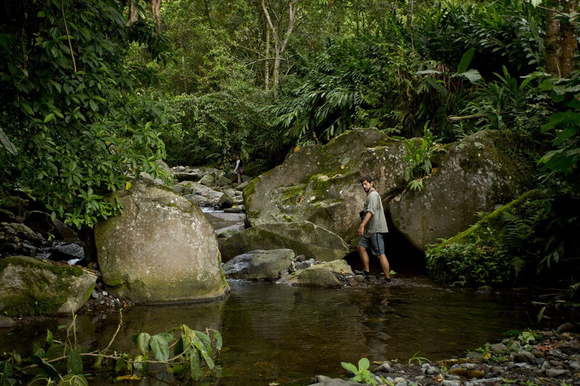 COSTA RICA - AQUIARES (NATURAL)