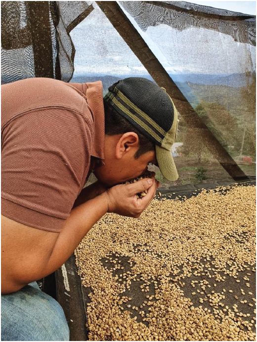 Colombia - Rodrigo Sanchez (Cold Ferm. Natural)