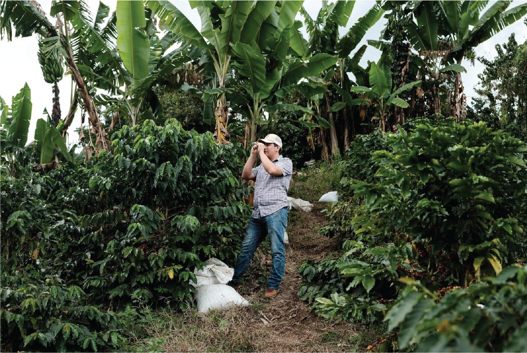 Colombia - Rodrigo Sanchez (Double Ferm. Washed)