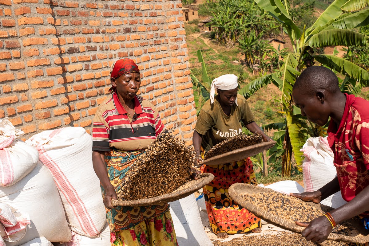 BURUNDI - IZUBA (WASHED)