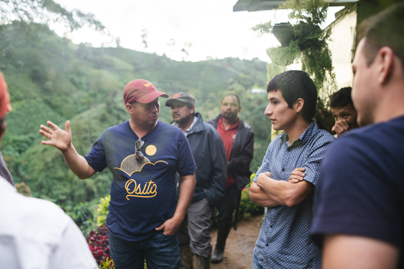 COLOMBIA - DIVINO NIÑO (WASHED)