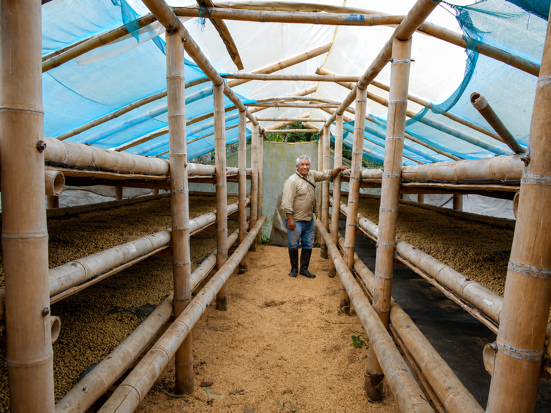 COLOMBIA - FINCA PATIO BONITO (NATURAL)