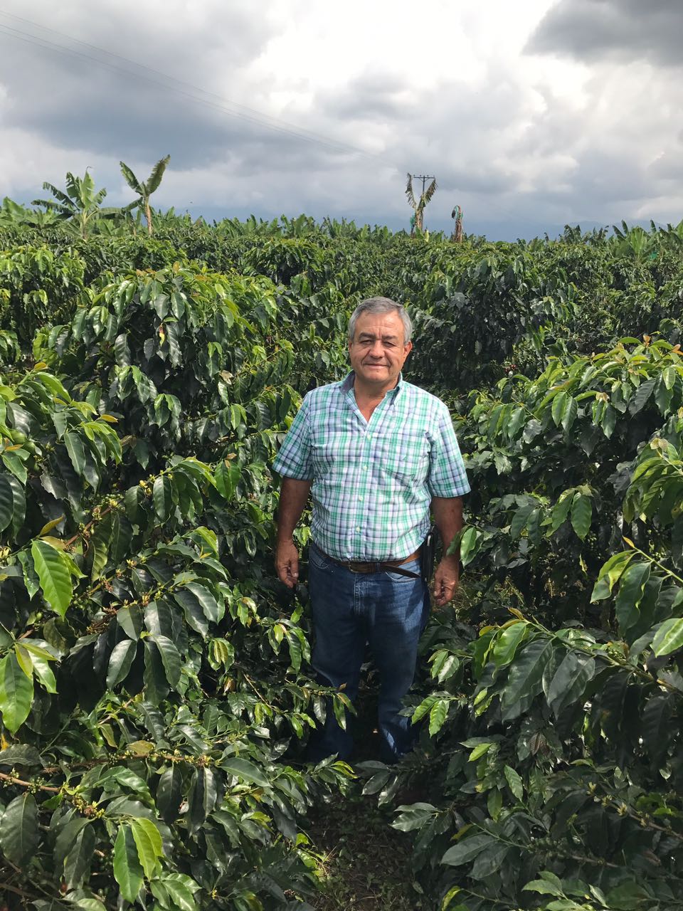 Colombia - Jairo Arcila (CM Natural)
