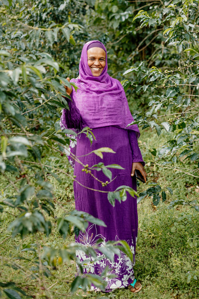 ETHIOPIA - NESRU ABA NURA (NATURAL)