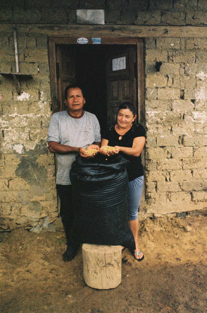 PERU - ROSA MEGO (WASHED)