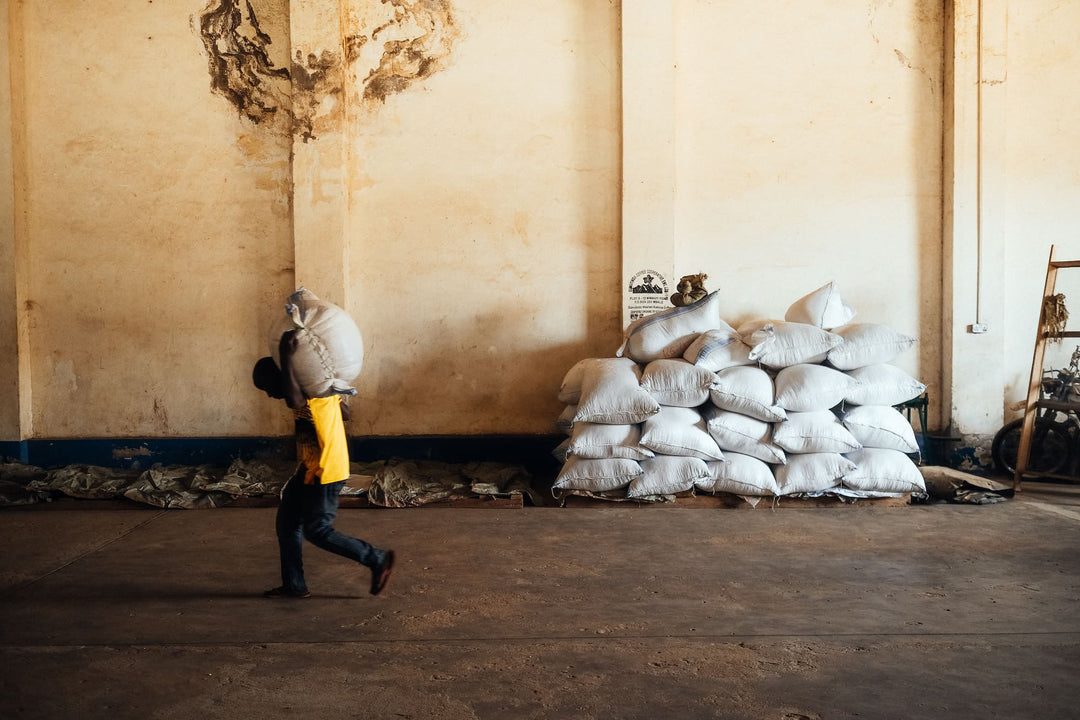 UGANDA - ZUKUKA BORA (NATURAL)