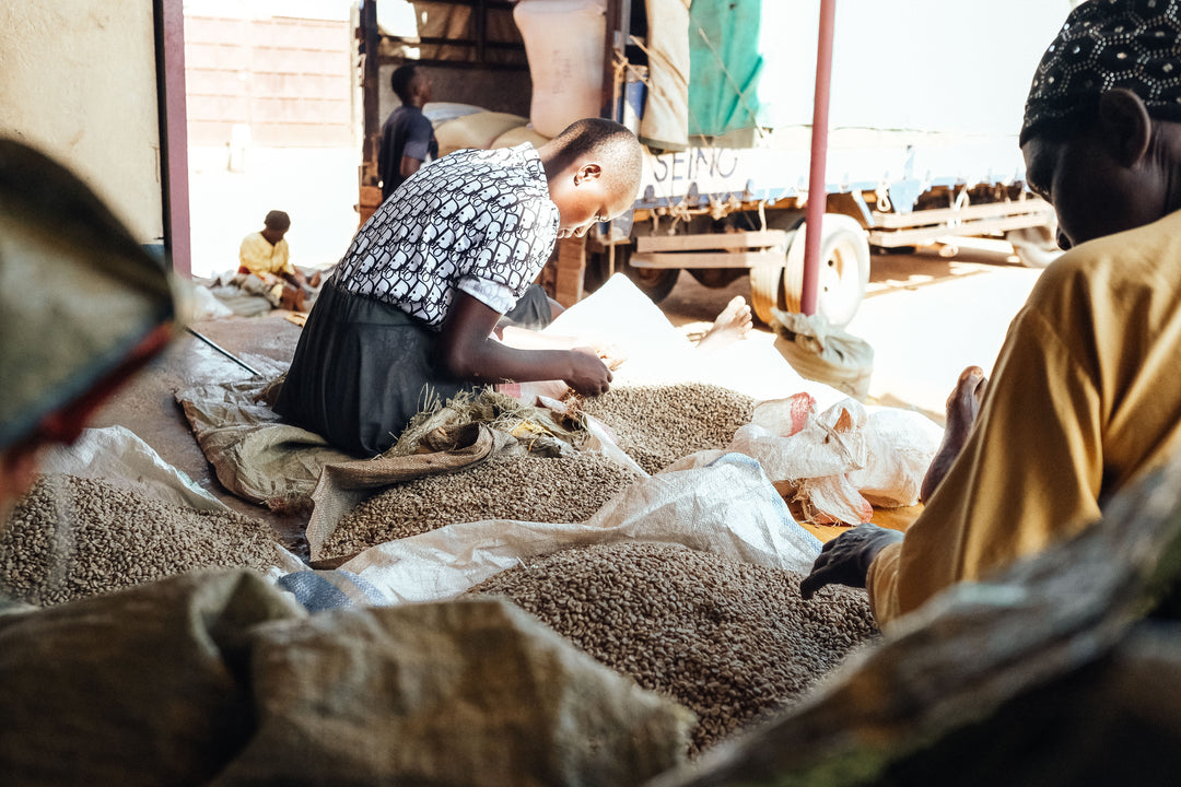 UGANDA - ZUKUKA BORA (NATURAL)