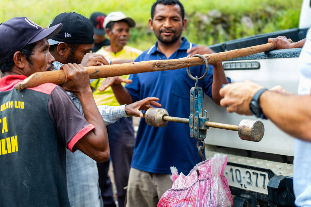 TIMOR-LESTE - ERMERA (WASHED)