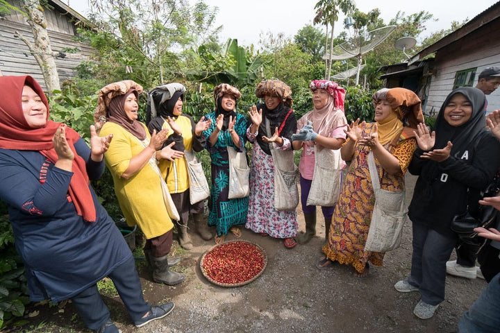HUTAN ORGANIC | INDONESIA (WET HULLED)