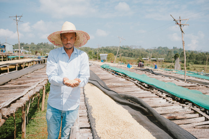 ABDO ABA MECHA ETHIOPIA (WASHED)