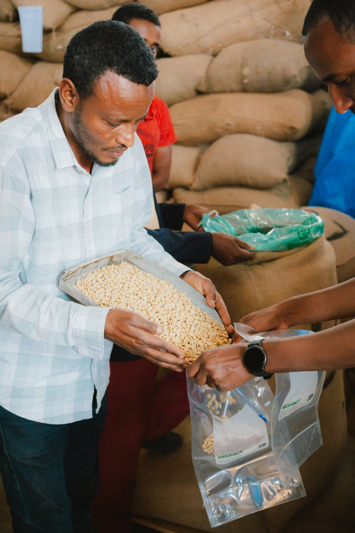 ABDO ABA MECHA ETHIOPIA (WASHED)