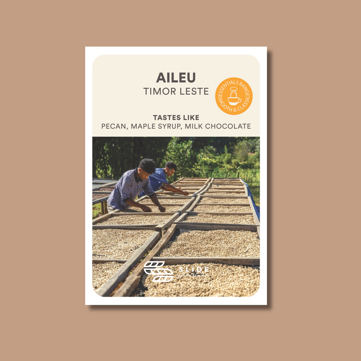 AILEU TIMOR-LESTE (WASHED)