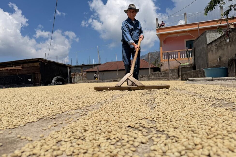 El Rancho, Guatemala - Washed