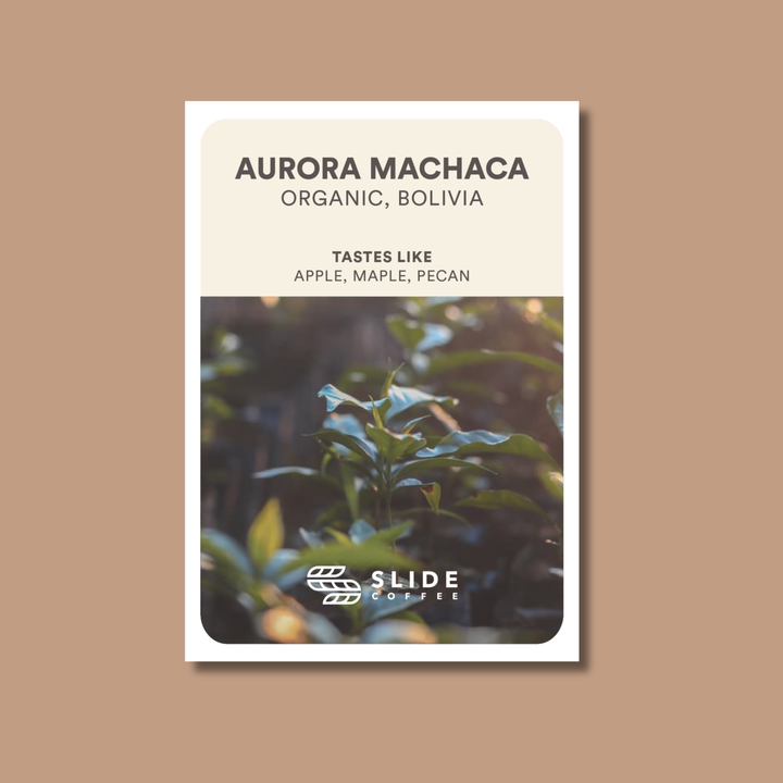 Aurora Machaca Organic, Bolivia - Washed