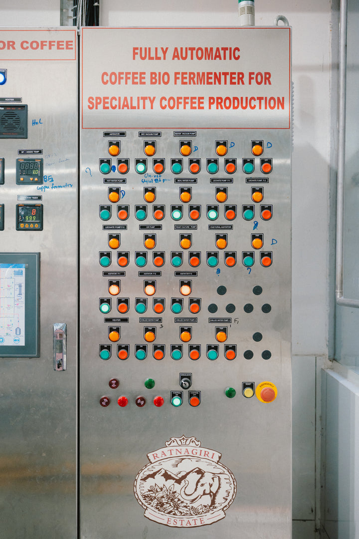 RATNAGIRI DH 13 (HYDRO HONEY)