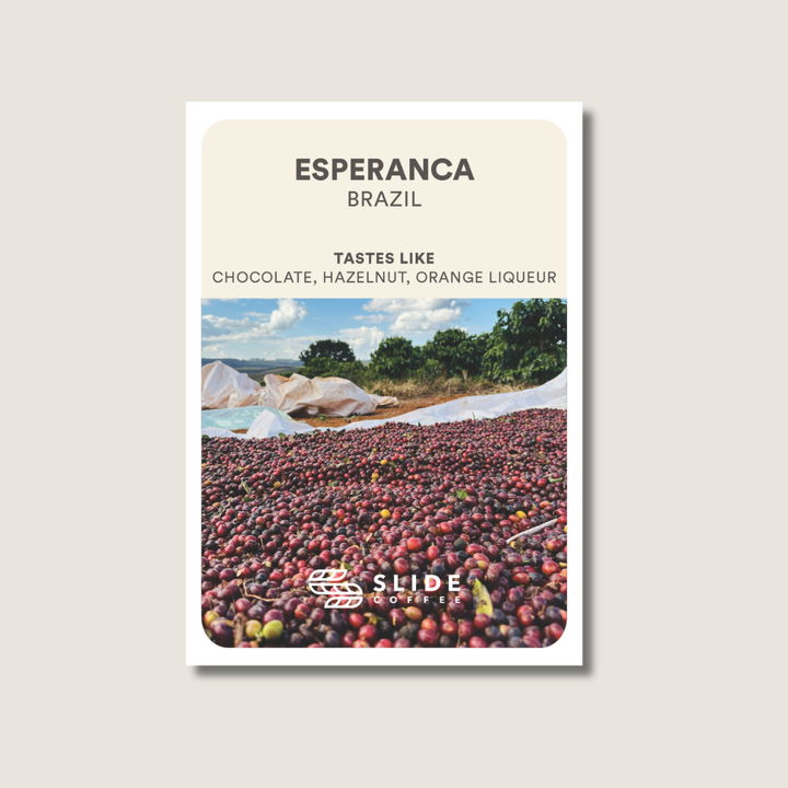 Esperanca, Brazil - Pulped Anaerobic Natural