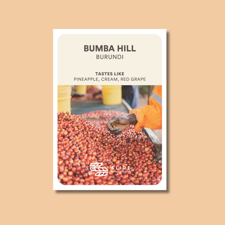 BUMBA HILL BURUNDI (NATURAL) - Filter Roast