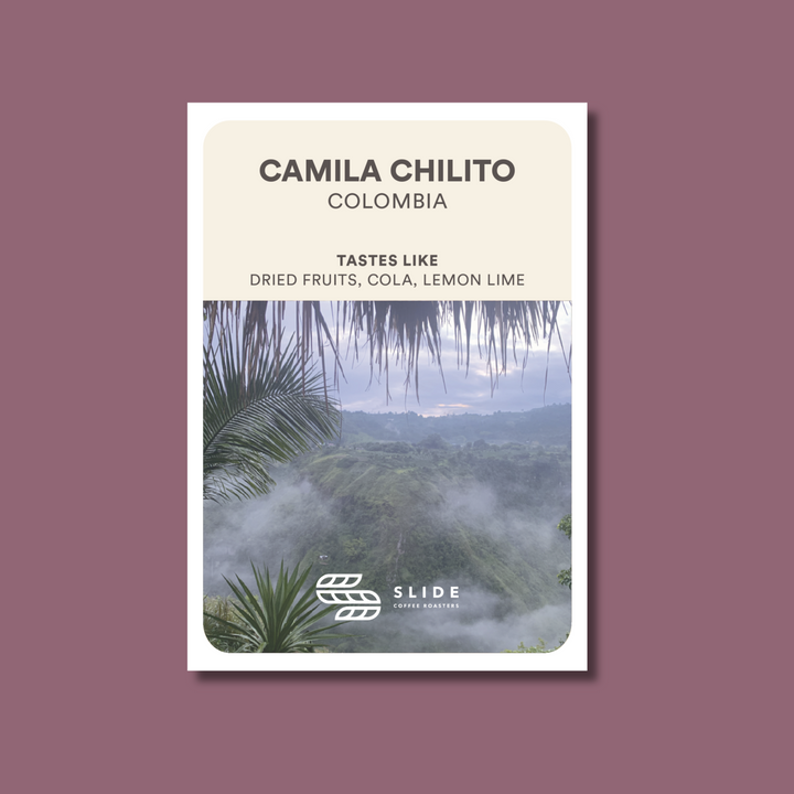 CAMILA CHILITO COLOMBIA (WASHED)