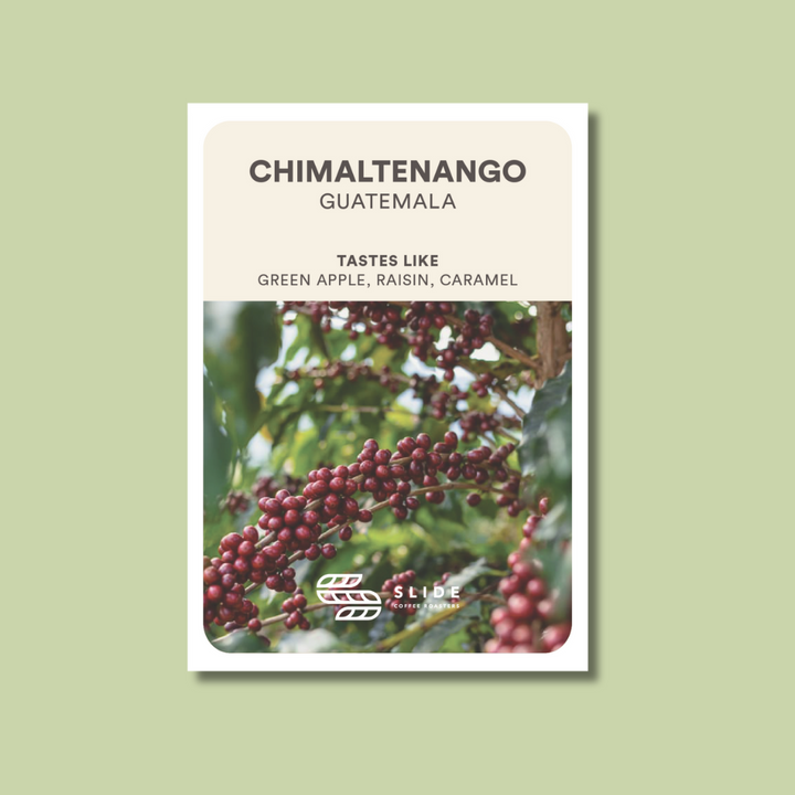 CHIMALTENANGO GUATEMALA (WASHED) - Espresso Roast