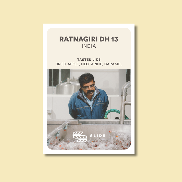 RATNAGIRI DH 13 (HYDRO HONEY)