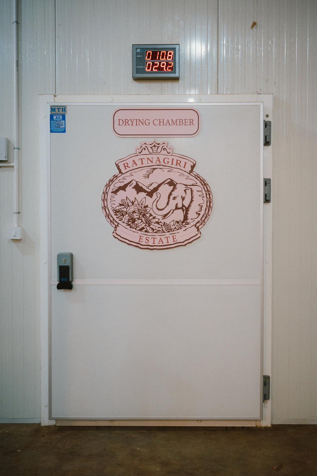 RATNAGIRI DH 13 (HYDRO HONEY)