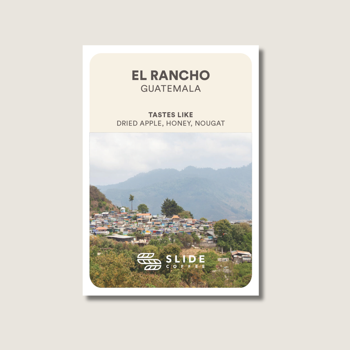 El Rancho, Guatemala - Washed