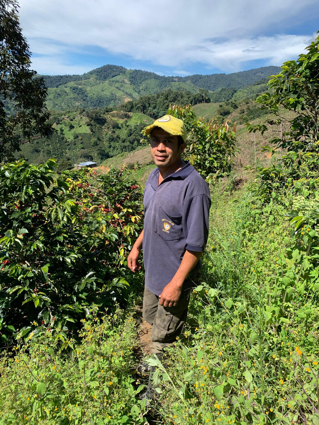 El Indio, Colombia - Natural