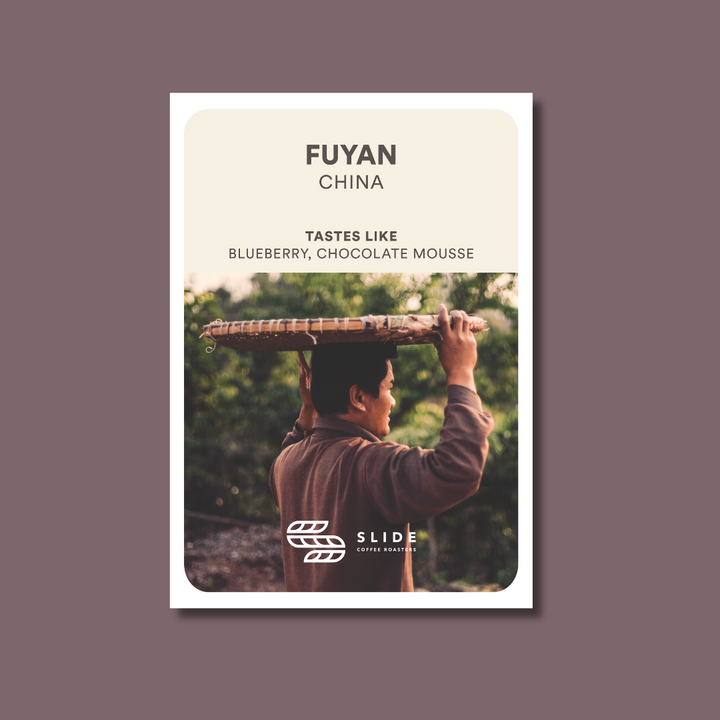 FUYAN CHINA (NATURAL) - Espresso Roast