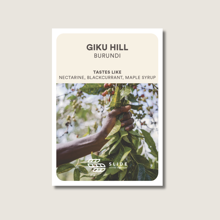 GIKU | BURUNDI (WASHED)