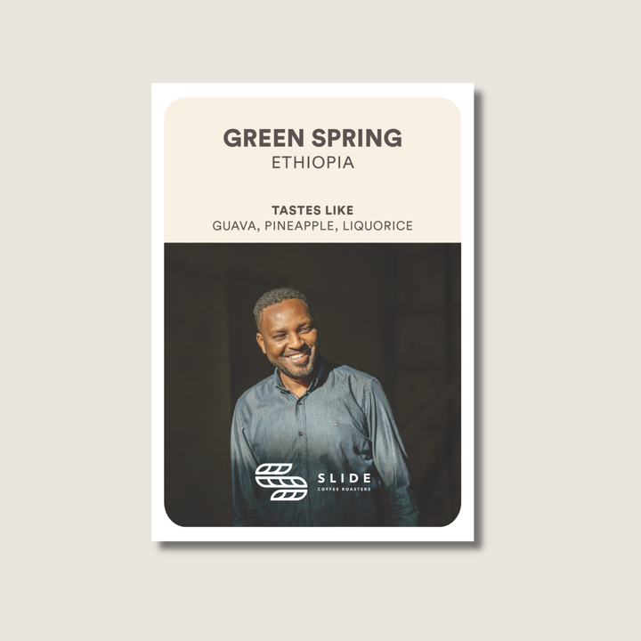 GREEN SPRING | ETHIOPIA (NATURAL)