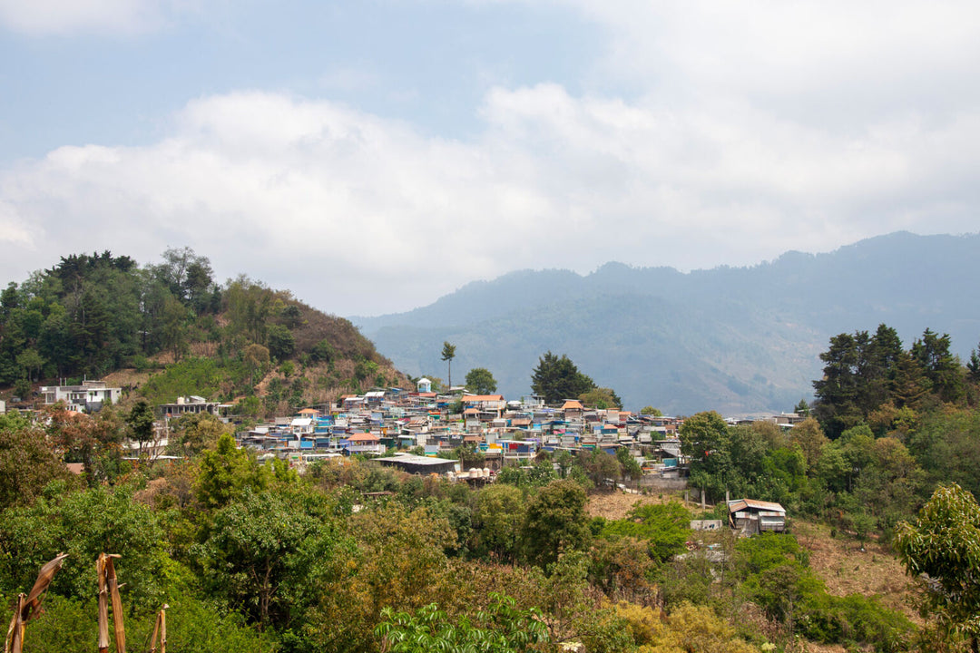 El Rancho, Guatemala - Washed