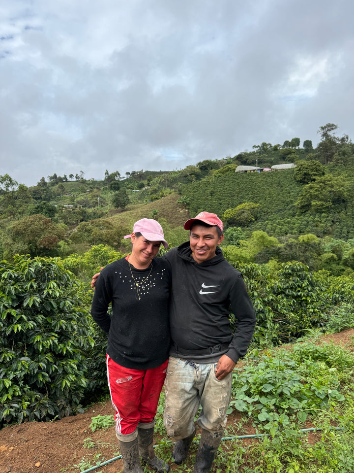LILIANA BURBANO COLOMBIA (WASHED) - Filter Roast