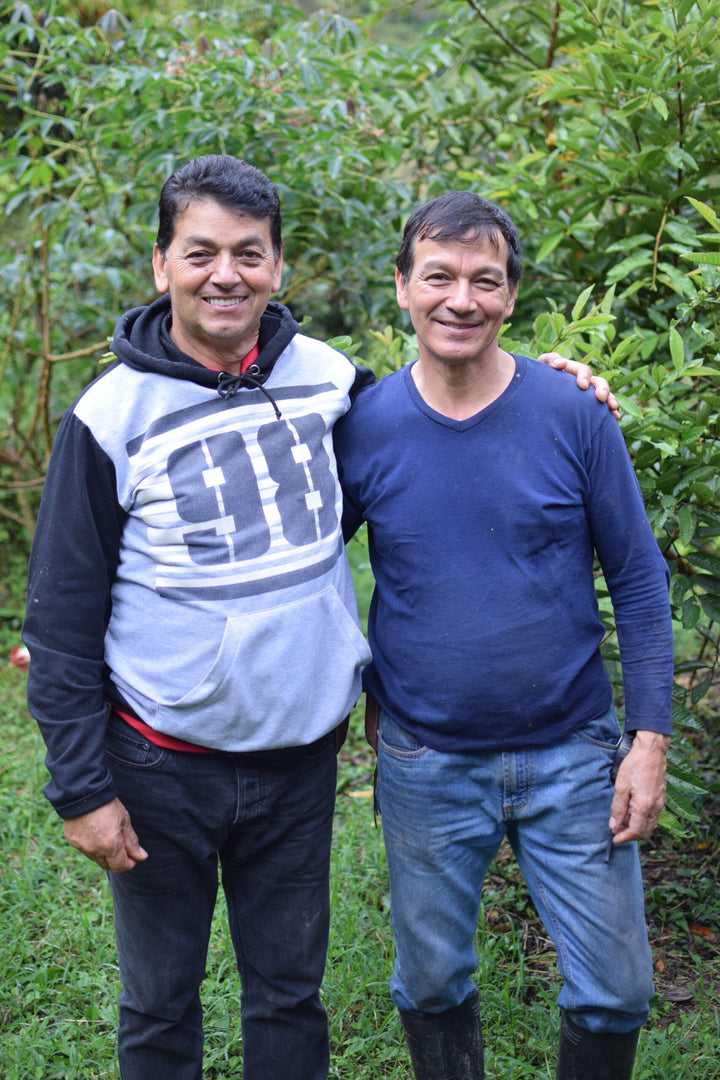 LIMITED RELEASE - FINCA MONTEVERDE GESHA (RED HONEY)