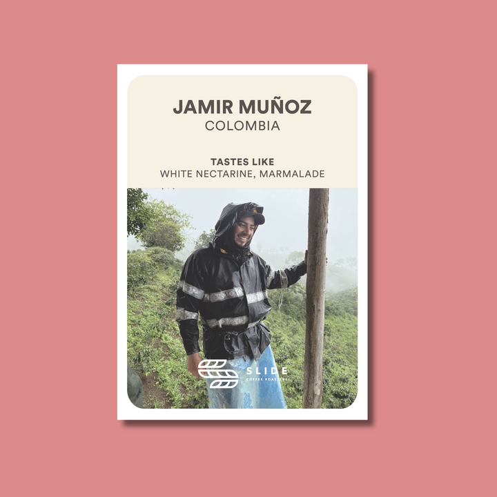 JAMIR MUÑOZ COLOMBIA (WASHED)