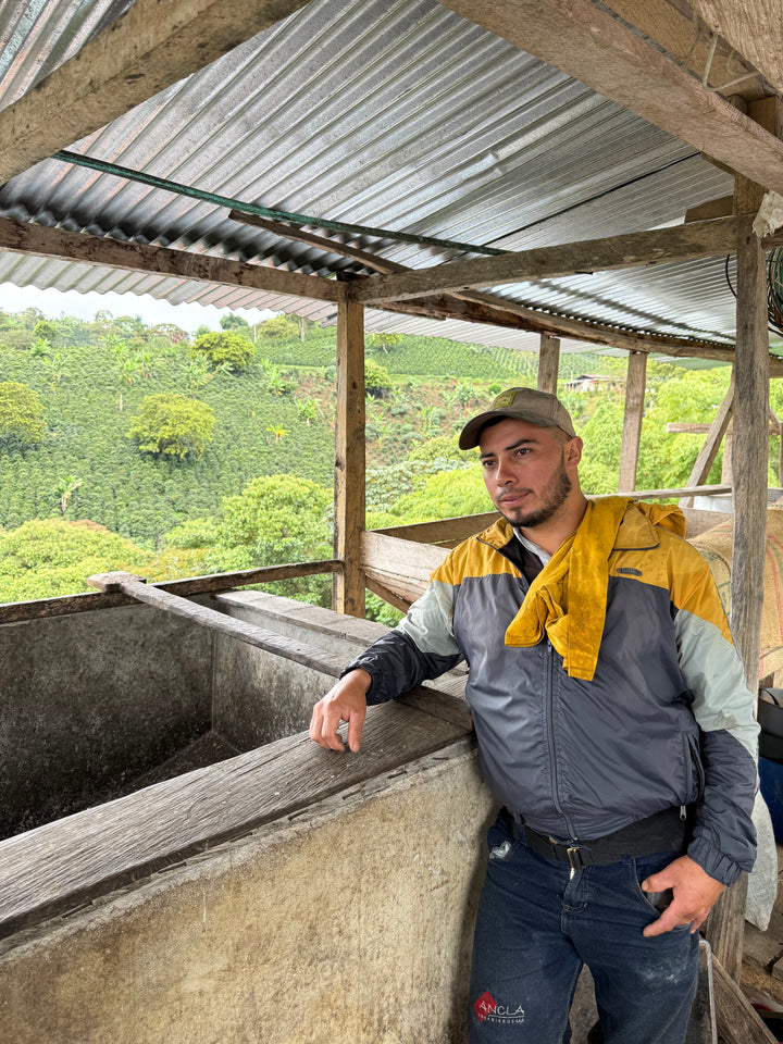 JAMIR MUÑOZ COLOMBIA (WASHED)