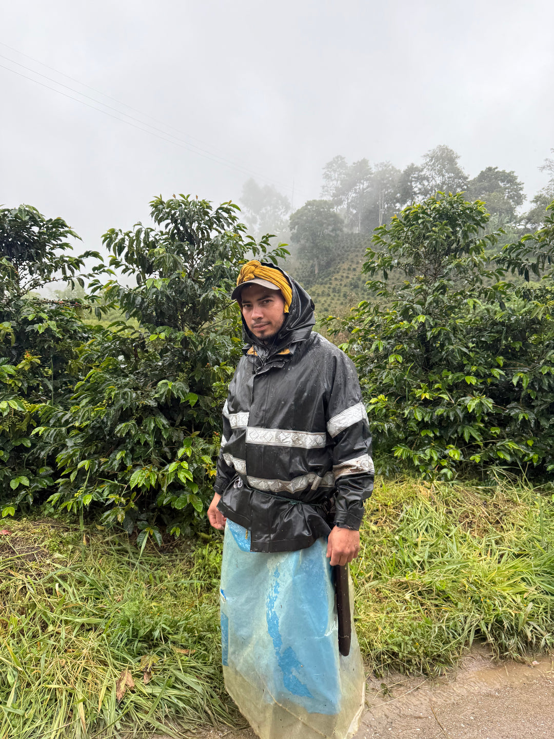 JAMIR MUÑOZ COLOMBIA (WASHED)