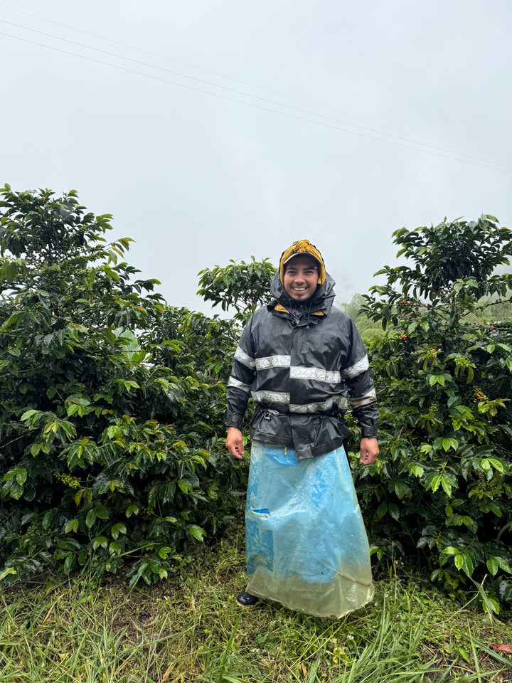 JAMIR MUÑOZ COLOMBIA (WASHED)