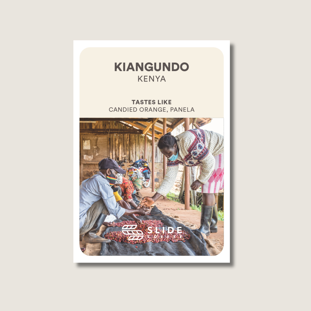 Kiangundo, Kenya - Washed