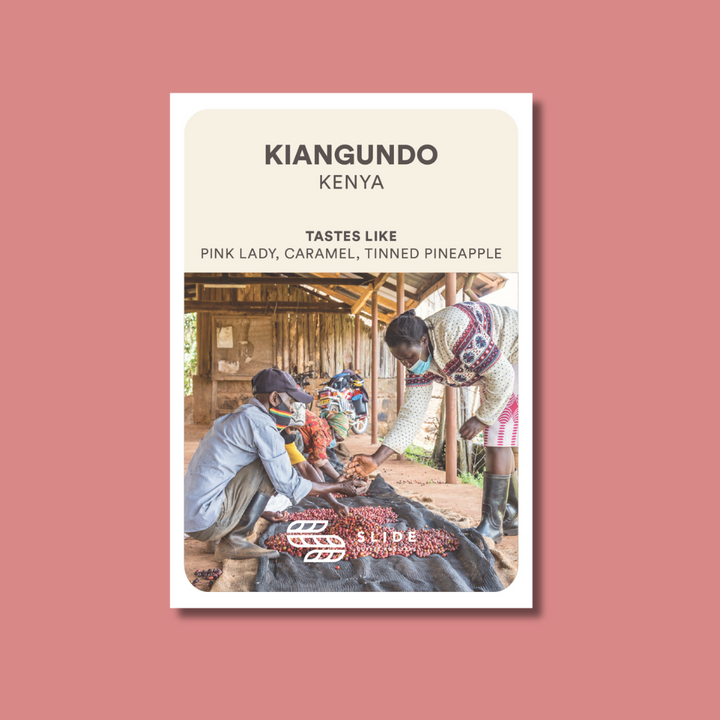 KIANGUNDO KENYA (WASHED) - Espresso Roast