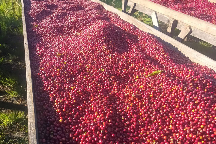 La Merced, Guatemala - Natural