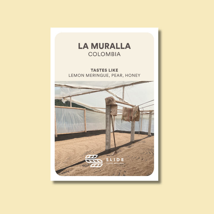 LA MURALLA COLOMBIA (WASHED) - Filter Roast