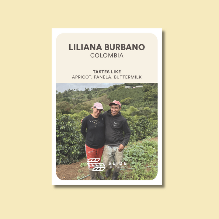 LILIANA BURBANO COLOMBIA (WASHED) - Filter Roast
