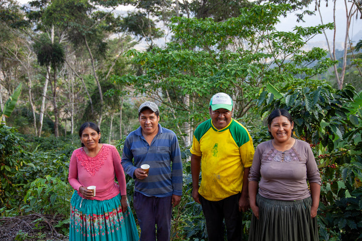 MAMANI FAMILY BOLIVIA (WASHED)