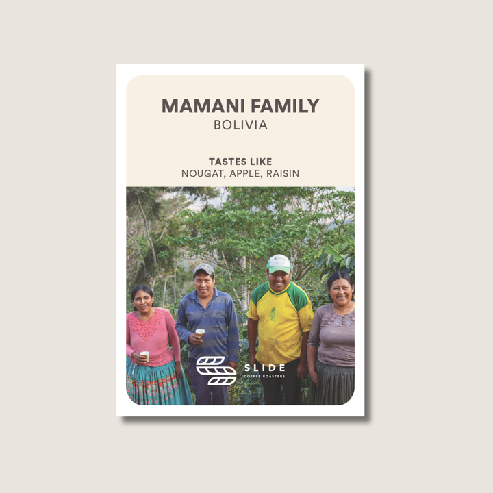 MAMANI FAMILY BOLIVIA (WASHED)