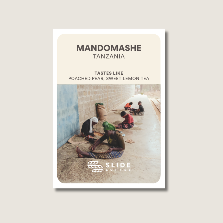 Mandomashe, Tanzania - Washed