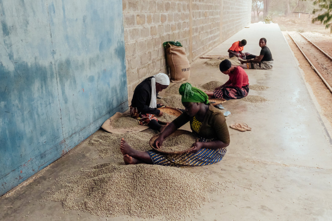 MANDOMASHE TANZANIA (WASHED)