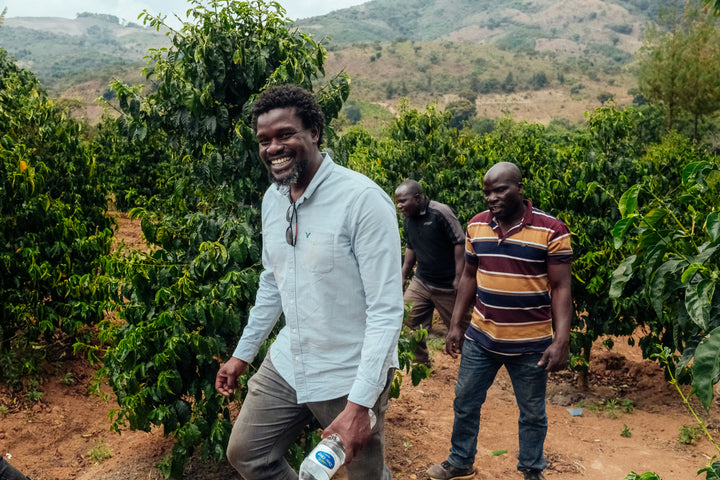 Mandomashe, Tanzania - Washed